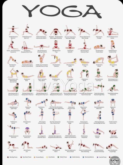 Motivasi Diet, Yoga Ashtanga, Ashtanga Vinyasa Yoga, Surya Namaskar, Yoga Beginners, Yoga Poster, Sup Yoga, Beginner Yoga, Educational Poster