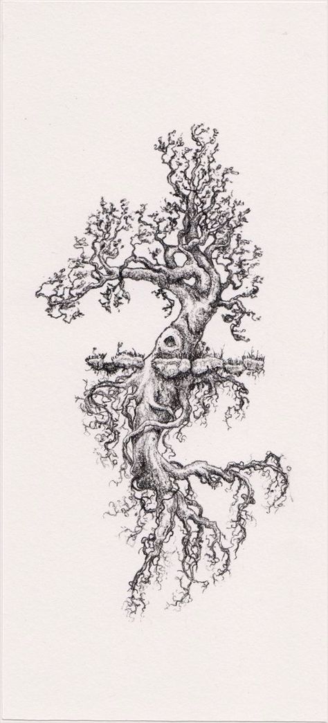 Tree Tattoo Drawings, Tree Tattoo Side, Tree Branch Tattoo, Roots Tattoo, Tattoo Tree, Tattoo Thigh, Tree Tattoos, Pine Tree Tattoo, Life Sketch