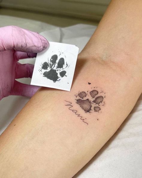 Cat Paw Tattoos, Tatto Sleeve, Paw Tattoos, Tatoo Dog, Tribute Tattoos, Pawprint Tattoo, Dog Paw Tattoo, Paw Tattoo, Inner Forearm