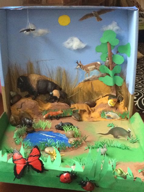 Biome Diorama- Grasslands Prairie Biome Project, Wetland Diorama, Zoo Diorama, Ecosystems Diorama, Landform Projects, Shark Habitat, Grassland Biome, Ocean Diorama, Biomes Project