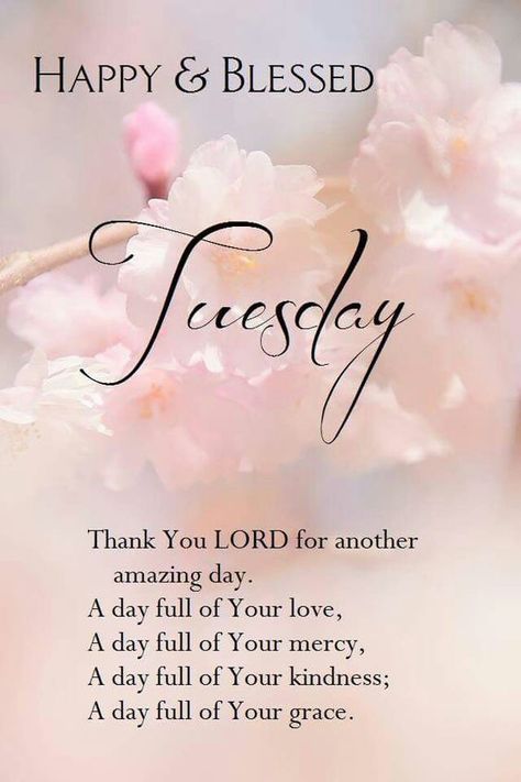 Happy & Blessed TUesdays Blessed Tuesday, Good Tuesday Morning, Christian Good Morning Quotes, Happy Tuesday Morning, Tuesday Pictures, Tuesday Greetings, Tuesday Quotes Good Morning, Week Blessings, Tuesday Blessings