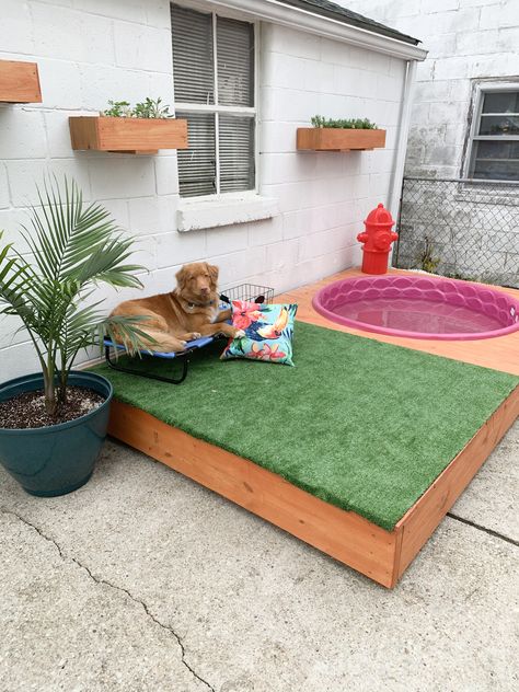 Dog Pool Diy, Dog Apartment, Dog Supplies Organization, Dog Nook, Backyard Dog Area, Dog Friendly Backyard, Dog Backyard, Dog Corner, Pet Things