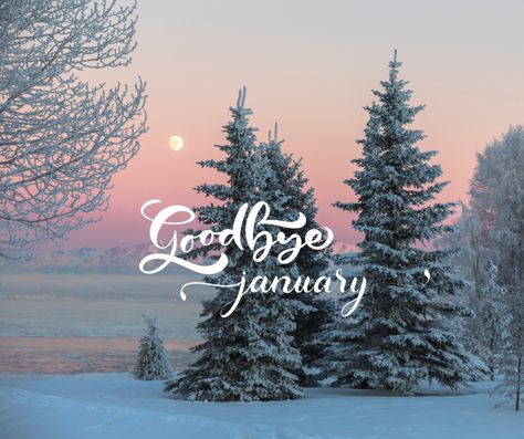 Bidding adieu to January's frosty days, welcoming February's warmth with open arms 🤗#goodbye #GoodbyeJanuary #BiddingAdieu #adieu #february2024 #january2024 #ecards #celebrateeachday #openarms #welcome Goodbye January, January Events, Welcome February, Morning Hugs, Morning Memes, Missing Someone, Dream Book, Really Sorry, Open Arms