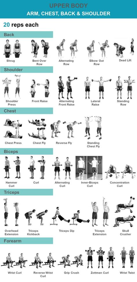 Upper Body Weight Workout, Beginner Upper Body Workout, Upper Body Workout Gym, Survival Videos, Workout Gym Routine, Shoulder Workouts, Gym Workout Plan For Women, Dumbell Workout, Gym Workout Chart