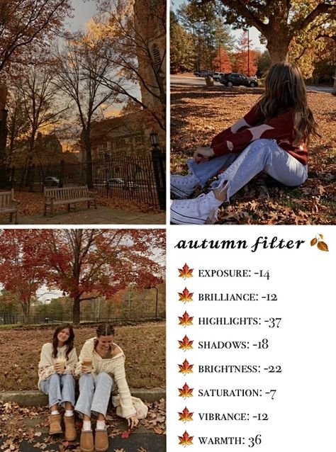 Fall Filter, Jungle Photo, Vintage Photo Editing, Filter Photo, Phone Photo Editing, Photo Hacks, Photo Editing Vsco, Learn Photo Editing, Phone Photo