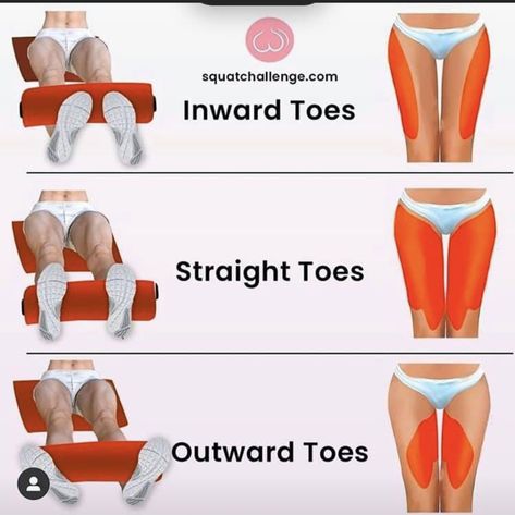 Parts Of The Glutes, Glute Muscle Chart, Glute Diagram, Glute Muscles Anatomy Exercise, How To Gain Muscle, Workout Gym Routine, Gym Workout Plan For Women, Muscle Building Foods, Leg Workouts