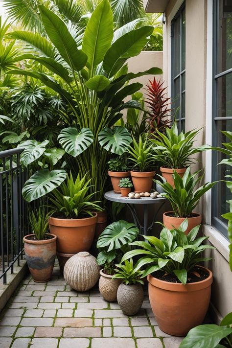 20 Small Tropical Garden Design Ideas - Toolz Geek Home Balcony Garden Ideas, Small Garden Potted Plants, House Plants Decor Balcony, Pots Garden Design, Outdoor Plant Room, Plants In Home Ideas, Pots And Plants Outdoors, Tiny Tropical Garden, Plants In Small Pots