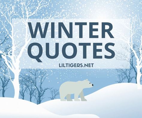 100+ Best Winter Quotes and Sayings Winter Phrases, Short Winter Quotes, Kids Stem Projects, Quotes About Winter, Winter Captions, Sayings For Kids, Narnia Quotes, First Day Of Winter, Winter Classroom