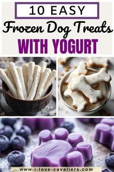 Yogurt Banana Dog Treats, Greek Yogurt Recipes For Dogs, Dog Treats Yogurt And Peanut Butter, Greek Yogurt Dog Treats Peanut Butter, Probiotic Frozen Yogurt Dog Treats, Fruits For Dogs Healthy, Greek Yogurt Treats For Dogs, Yogurt Drops For Dogs, Dog Treats Homemade Greek Yogurt