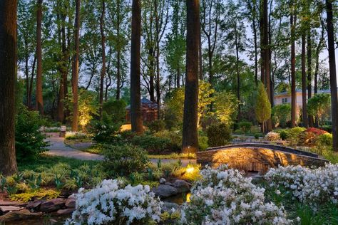 Large Backyard Landscaping, Wooded Landscaping, Meditation Garden, Outdoor Remodel, Garden Shrubs, Design Blogs, Large Backyard, Woodland Garden, Garden In The Woods