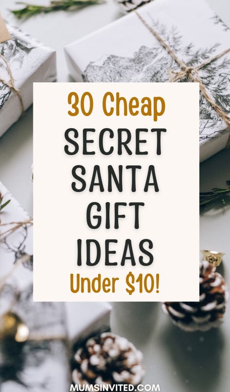 Discover amazing cheap Secret Santa gift ideas that won't break the bank! Perfect for co-workers, friends, family. These budget-friendly options under $10 include fun DIY projects, unique finds from Dollar Tree & small gifts from Amazon. Whether you’re shopping for men, women, kids, or teachers, there are inexpensive & creative options that feel special without the high price tag. Make your 2024 Christmas gift exchange memorable with affordable, easy & cute gifts everyone will enjoy! Teacher Secret Santa Ideas Diy Gifts, Cheap Christmas Presents, 10 Dollar Gifts, Cheap Presents, Budget Friendly Christmas Gifts, Gifts From Amazon, Secret Santa Gift Ideas, Small Gifts For Friends, Christmas Presents For Friends