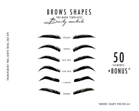 Makeup Png, Eyebrow Guide, Brow Quotes, Makeup Svg, Makeup Logo, Shape Posters, Art Makeup, Beauty Make-up, Brow Definer