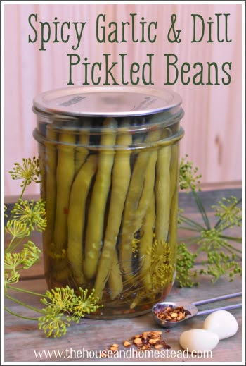 Herb Preservation, Pickled Beans, Pickle Party, Pickled Vegetables Recipe, Pickled Green Beans, Dilly Beans, Pickled Foods, Canning Pickles, Canning Vegetables