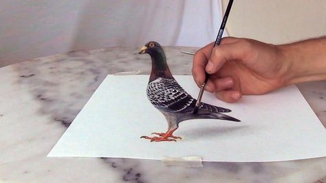 Pigeon Drawing, 3d Illusion Drawing, Optical Illusions Drawings, 3d Drawing Techniques, 3d Drawing Tutorial, Hole Drawing, Realistic Animal Drawings, 3d Pencil Drawings, Portrait Male