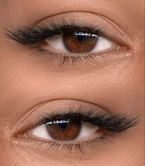 L curl lash extensions #lashes #naturallashes D Vs C Curl Lashes, L Lashes Eyelash Extensions, L Curl Lashes Extensions, Straight Eyelash Extensions, Fox Eye Lash Extensions L Curl, L Shape Lash Extensions, J Curl Lashes, Cat Lashes Extensions, Eyeliner Lash Extensions