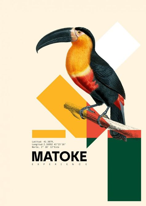 Matoke Experience Poster Collection by Xavier Esclusa Trias Minimal Poster, Food Poster Design, Poster Layout, Web Inspiration, Animal Graphic, Creative Poster Design, Poster Collection, Graphic Design Projects, Animal Posters