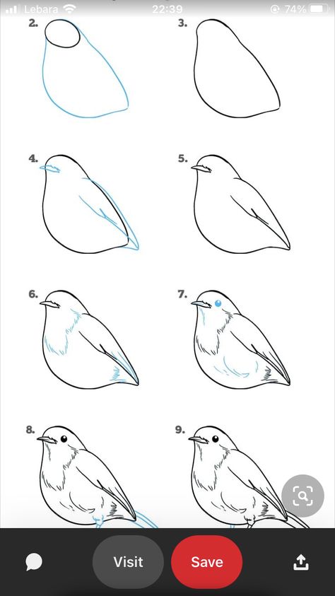 How To Sketch A Bird Step By Step, Bird Art Tutorial, How To Draw Birds Step By Step Simple, How To Draw A Bird Step By Step, How To Draw A Bird, Bird Step By Step Drawing, Bird Drawing Tutorial, How To Draw Birds, Draw Birds