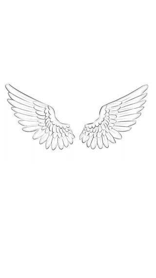 Angelic Wings Tattoo, Small Wings Tattoo Men, Small Detailed Angel Wing Tattoo, Angel Wings Line Tattoo, Men’s Wings Tattoo, Red Angel Wing Tattoo, Shaded Angel Wings Tattoo, Angel Wings 444 Tattoo, Saltburn Tattoo Ideas