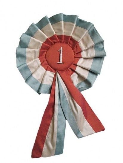 1st prize rosette ribbons = want! Village Fete, Award Ribbons, Award Ribbon, First Prize, Old Glory, State Fair, Digimon, Red White And Blue, Red White Blue