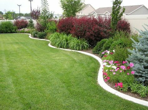 Nice! Landscaping Along Fence, Privacy Landscaping, Garden Shrubs, Have Inspiration, Landscaping Tips, Garden Edging, Beautiful Backyards, Back Garden, Desert Landscaping