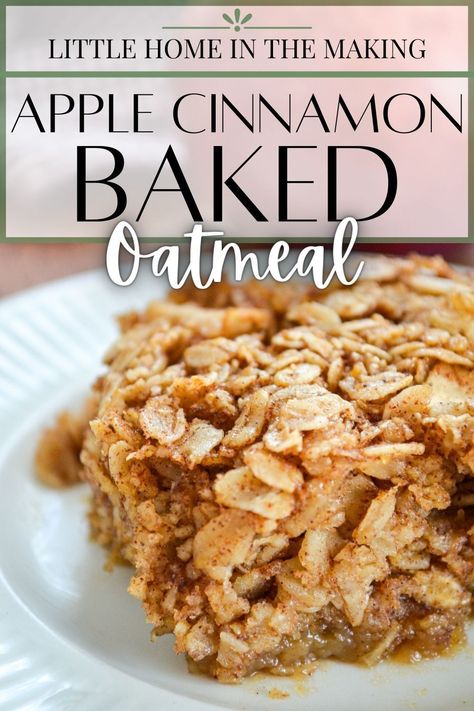 Apples And Cinnamon Baked Oatmeal, Gluten Free Apple Baked Oatmeal, Oatmeal Bake No Eggs, Weight Watchers Baked Apple Oatmeal, Baked Apples Oatmeal, Baked Apples And Oats, Apple Cinnamon Baked Oatmeal Healthy, Baked Apple Overnight Oats, Ambitious Kitchen Baked Oatmeal