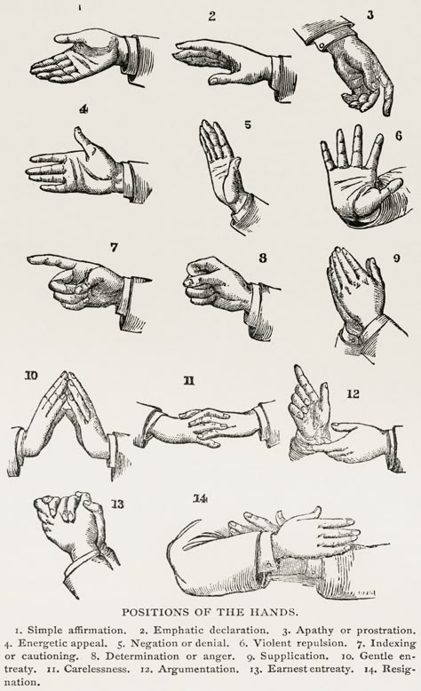 Positions of the Hands (1910) from the work of Joseph Gibb… | Flickr Domain Expansion Hand Sign, Body Language Hands, Hand Gesture Drawing, Hand Sign Language, Domain Expansion, Sign Language Words, Hand Signs, Hand Symbols, Hands Icon