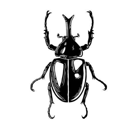 Goliath Beetle Drawing, Old School Beetle Tattoo, Rino Beetle Tattoo, Rhinosaurus Beetle Tattoo, Beetle Bug Tattoo, Black And White Clip Art Vintage, Insect Tattoo Stencil, Bug Tattoo Flash Sheet, Horn Beetle Tattoo