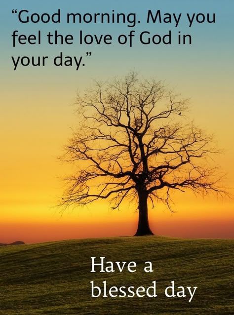 God Bless Good Morning, Good Morning From God, Good Morning Faith Quotes, Wishing You A Good Day, Have A Blessed Day Good Morning, Blessed Morning Quotes Inspiration, Blessed Day Quotes Inspirational, Good Morning Have A Blessed Day, Good Morning God Bless You