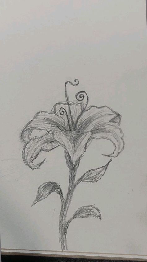 Landscape Art Pencil Sketch, Withering Flower Drawing, Flower Sketches Simple Pencil, Aphrodite Drawing Sketch, Drawing Sketches Flowers, East Sketches, Sketchbook Ideas Flowers, Flower Sketches Easy, Flower Pencil Sketches