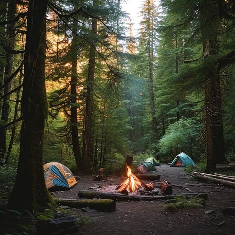 Camping in Woods: Cozy campsite set in a serene forest, with tents pitched and a warm fire crackling. #camping #forest #campfire #tents #woods #nature #outdoor #adventure #aiart #aiphoto #stockcake https://ayr.app/l/4hYT Backcountry Camping Aesthetic, Camping In Woods, Camping Vision Board, Camping Asthetics Photos, Camping Fire Aesthetic, Cozy Camping Aesthetic, Camping Astethic Pictures, Camping Tent Aesthetic, Campsite Aesthetic