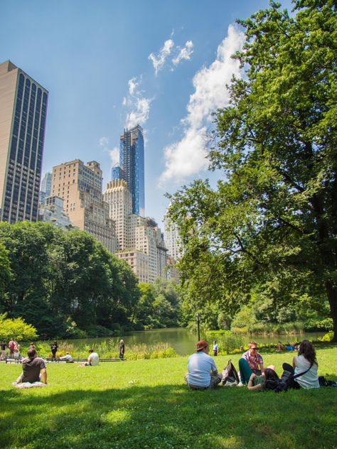 Central Park Picnic, Things To Do In Nyc, New York Life, Nyc Life, New York Aesthetic, Ap Art, The Plaza, Famous Places, New York Travel