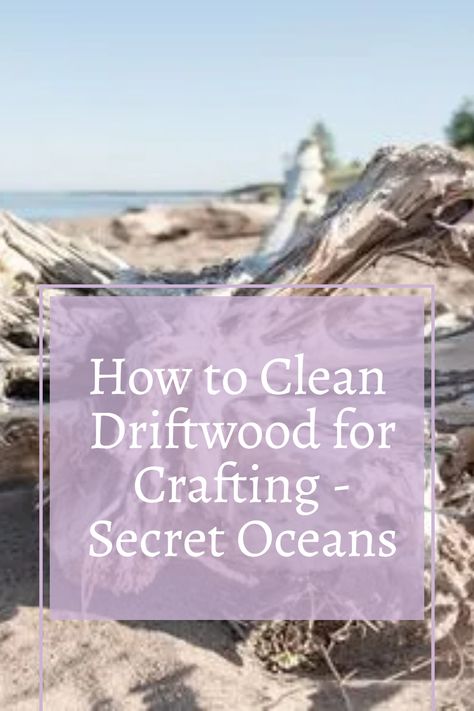 "Embark on a crafting journey with pristine driftwood! Learn the art of cleaning driftwood for your DIY projects, from removing debris to tackling stubborn grime. Dive into our step-by-step guide, ensuring your driftwood is a blank canvas ready for creative expression. Elevate your crafts with the natural charm of immaculately cleaned driftwood. Let's bring the beach to your creations! 🐚🎨 #DriftwoodCrafting #DIYProjects #NatureCrafts" Cleaning Driftwood Without Bleach, Bleaching Driftwood Diy, Shell And Driftwood Wreath, How To Clean Driftwood Without Bleach, Cleaning Driftwood How To, Wood Burned Driftwood, How To Make Driftwood Diy, Driftwood Holiday Crafts, Diy Driftwood Wall Art