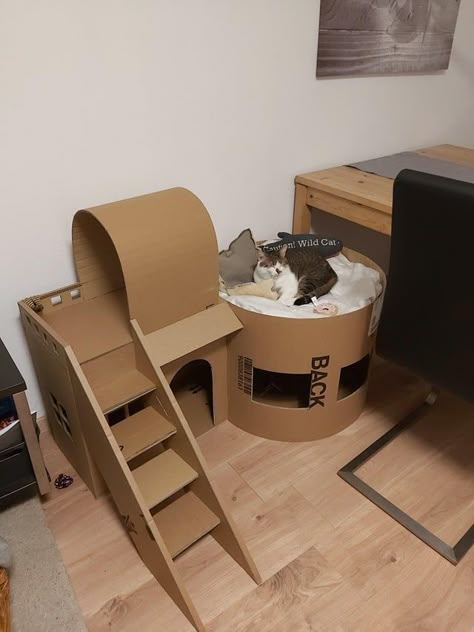 Cat House From Cardboard Boxes, Cardboard Cat House Ideas, Cardboard Box Houses For Cats, Diy Cat Cardboard Ideas, Diy Cat Stuff Cardboard, Cardboard Box Cat House Diy Ideas, Box Cat House Diy, Diy Cat House Ideas, Diy Cat Cardboard House