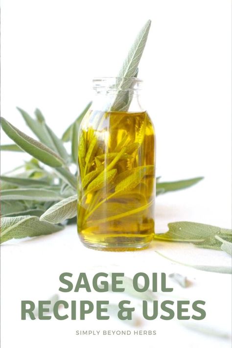 Herbal Oil Recipes, Infused Oil Recipes, Sage Benefits, Herbal Oils, Herbal Remedies Recipes, Medicinal Herbs Garden, Recipes For The Whole Family, Sage Oil, Sage Essential Oil