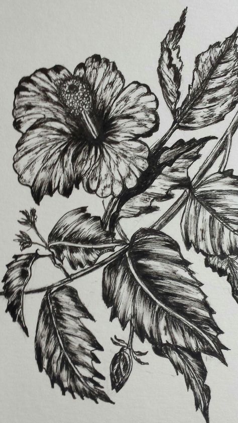 Ink drawing India Ink Art Ideas, Biro Drawing, Leaf Drawing, India Ink, Drawing Pencil, Ink Art, Ink Drawing, Pencil Drawings, Pen And Ink