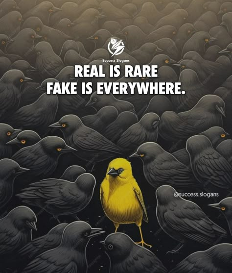 Real is rare, fake is everywhere. 💎✨ √ TAG your brother who need to see this! √ FOLLOW 👉🏻 @success.slogans - √ Feel free to use content, just give credit @success.slogans . . 🖼️ background: unknown ❤️ . √ The best way to change people’s thinking is through the pictures! - - - - ⠀⠀⠀⠀⠀⠀⠀ #RealTalk #Authenticity #StayTrue #BeReal #TruthMatters #GenuinePeople #KeepItReal #AuthenticLiving #RareFind #FakePeople #TrueToYourself #RealConnections #Trustworthy #InnerCircle #ValueRealness #LifeTruth... Thinking Quotes Thoughts, Fake People's Quote, Self Quotes Instagram, Rare Wallpapers, Tag Your Brother, People Change Quotes, Real Is Rare, Life Quotes Funny, Inspirational Quotes Positive Wise Words