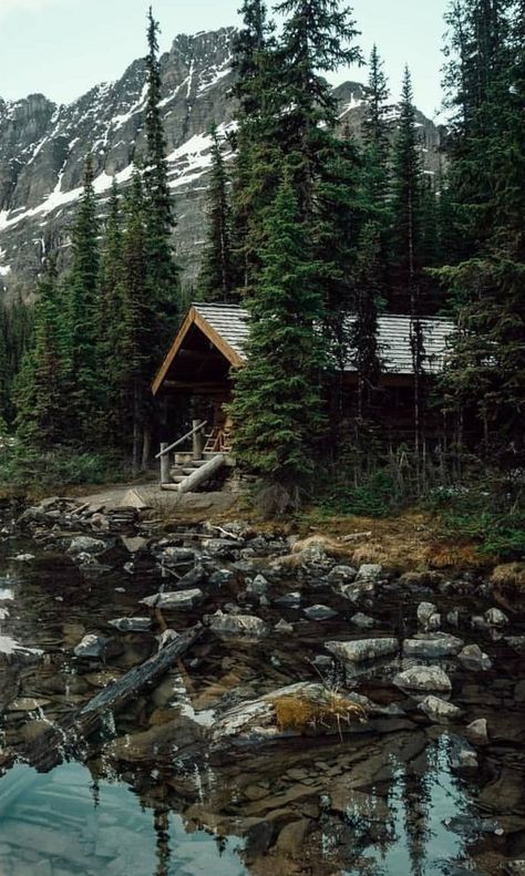 Cabin In The Mountains, Mountain Cabins, Yoho National Park, Lakeside Cabin, Forest Cabin, Country Cottage Decor, Big Cities, Simple Joys, Cabin Living