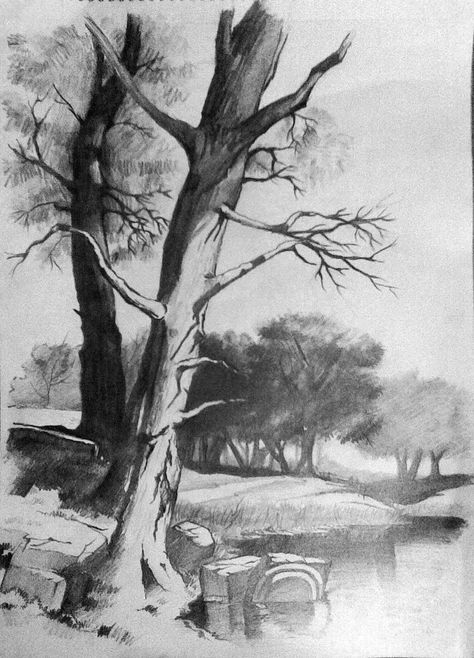 Pencil and Canvas: Landscape in pencil. Pencil Drawings Of Nature, Drawing Trees, Landscape Pencil Drawings, Pencil Drawing Tutorials, Drawing Eyes, Landscape Sketch, Drawings Tutorials, Image Nature, Drawing Exercises