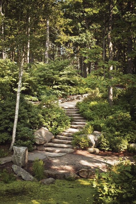 Taman Air, Garden Stairs, Coastal Maine, Hillside Landscaping, Sloped Garden, Garden Steps, Stone Path, Forest Garden, Have Inspiration