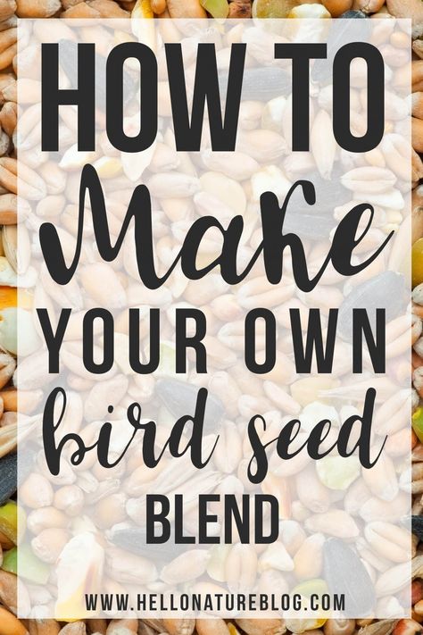 Homemade Bird Food, Homemade Bird Seed, Bath Diy, Backyard Birds Feeders, Pine Cone Bird Feeder, Bird Seed Ornaments, Tattoo Bird, Flying Tattoo, Bird Treats