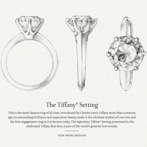 The original Tiffany knife edge solitaire engagement ring designed by Charles Lewis Tiffany Tiffany Solitaire Ring, Tiffany Setting Engagement Ring, Tiffany Solitaire, Knife Edge Ring, Tiffany Setting, Tiffany Engagement Ring, Tiffany Rings, Solitaire Ring Set, Tiffany Diamond