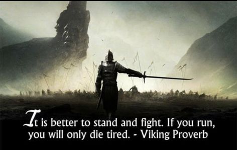 Warrior Code, Viking Quotes, Viking Warriors, Art Motivation, Stoicism Quotes, Viking Life, Epic Quotes, Warrior Spirit, Warrior Quotes