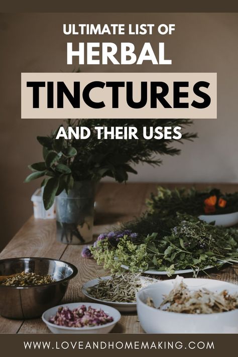 Herbal Tinctures Recipes, Plants For Healing, Herb Tinctures, Tinctures Recipes, Elderberry Syrup Recipe, Herbal Medicine Recipes, Diy Herbal Remedies, Herbal Remedies Recipes, Medicinal Herbs Garden