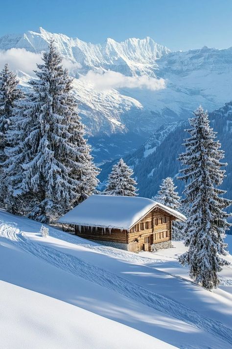 "Embrace winter magic in the Swiss Alps! ❄️🏔️ From world-class skiing to cozy alpine lodges, experience the ultimate snowy adventure in Switzerland. 🎿🏔️ #SwissAlpsWinter #SkiingSwitzerland #TravelSwissAlps" Winter To Do List, Swiss Alps Winter, Swiss Alps Skiing, Ski Switzerland, Switzerland In Winter, Freedom Nature, Switzerland Mountains, Switzerland Photography, Swiss Ski