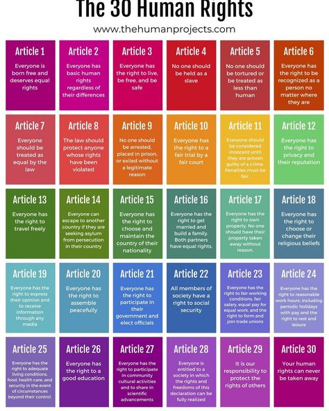 30 Human Rights, Basic Human Needs, Activist Art, Basic Human Rights, Study Flashcards, Basic Needs, General Knowledge Facts, Human Right, Knowledge Facts