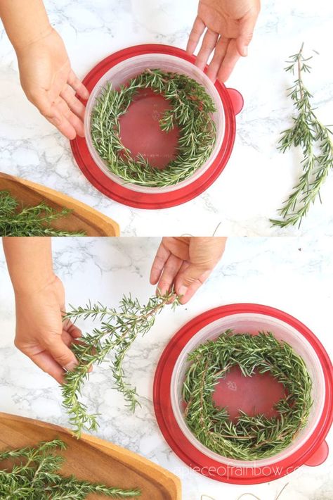 5 Minute DIY wreath making hack using a $1 food container to make rosemary, lavender, or Christmas wreaths! Easy nature crafts, farmhouse home decor & handmade gifts! - A Piece of Rainbow #diy #wreath #hacks #garden #flowers #herbs #homedecor #homedecorideas #diyhomedecor #crafts #boho #bohostyle #farmhouse #farmhousestyle #farmhousedecor crafts, boho living, decorations, harvest wreath, spring, summer, fall, Christmas ideas Easy Nature Crafts, Smell Gift, Natural Christmas Wreaths, Diy Wreath Making, Herb Wreath, Wreath Ring, Rainbow Diy, Make A Wreath, Christmas Decorations Easy