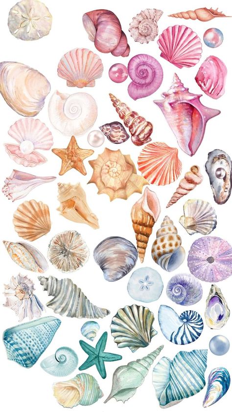 Aesthetic Wallpaper Macbook, Wallpaper Travel Aesthetic, Notebook Clipart, Aesthetic Wallpaper Travel, Seashell Drawing, Travel Aesthetic Wallpaper, Clipart Aesthetic, Beachy Wallpapers, Clipart Teacher