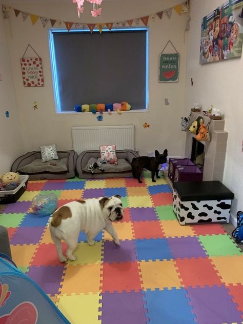 Flooring For Bedrooms, Dog Play Room, Dog Bedroom Decor, Dog Room Design, Dog Boarding Ideas, Dog Whelping Box, Dog Daycare Business, Dog Play Area, Hotel Pet