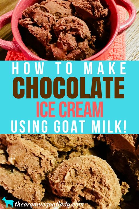 Chocolate Ice Cream Made With Goat Milk! - The Organic Goat Lady Low Calorie Ice Cream, Goat Milk Recipes, Goat Recipes, Chocolate Ice Cream Recipe, Milk Dessert, Dairy Free Ice Cream, Milk Ice Cream, Paleo Desserts, Healthy Ice Cream