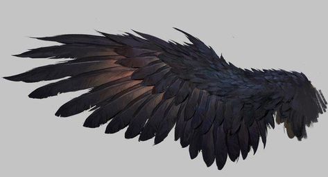 Raven Wings, Wings Drawing, Wing Tattoo, Creation Art, Wings Art, Crows Ravens, Painting Classes, Bird Wings, Wings Tattoo